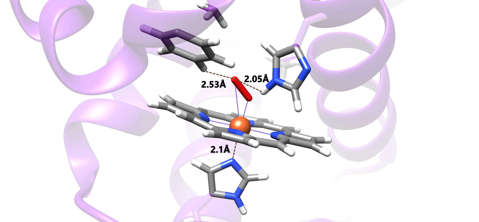 QM/MM Protein Study
